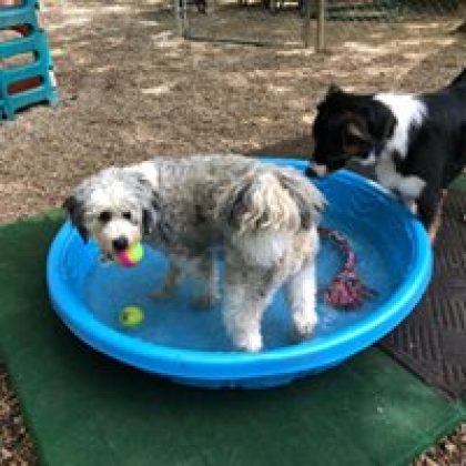 35269605_858991644296662_2417035091122323456_n